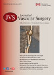 Journal Of Vascular Surgery