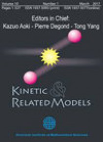 Kinetic And Related Models