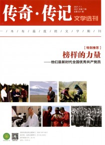 传奇传记文学选刊