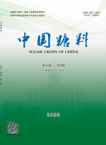 中国糖料