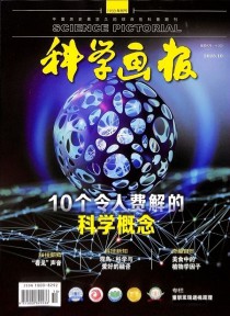 科学画报